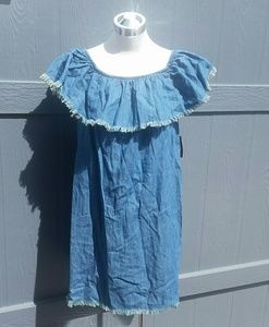Mossimo denim dress